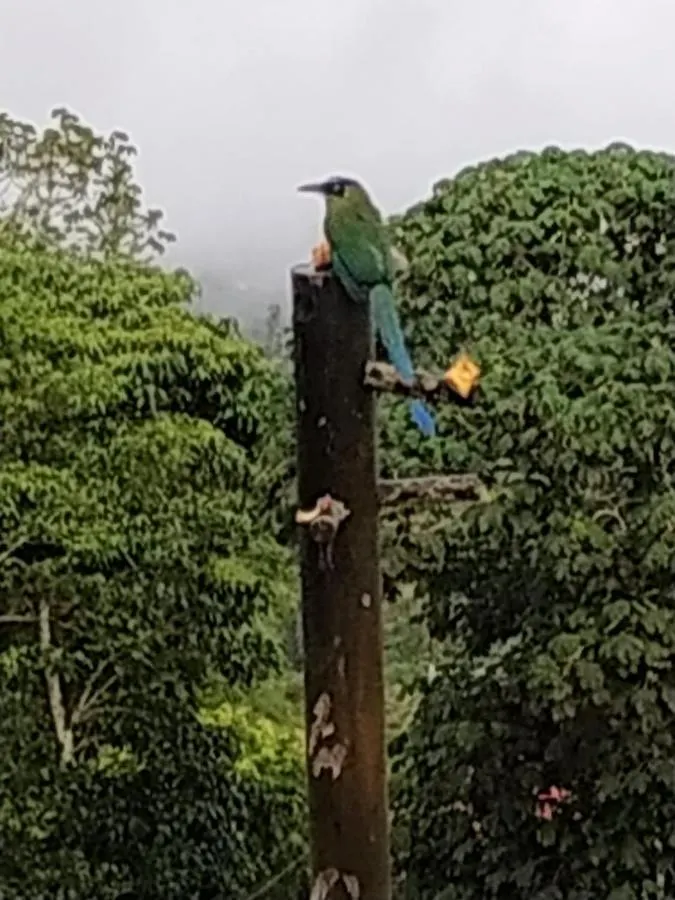 Las Aguilas Villa Cali Colombia